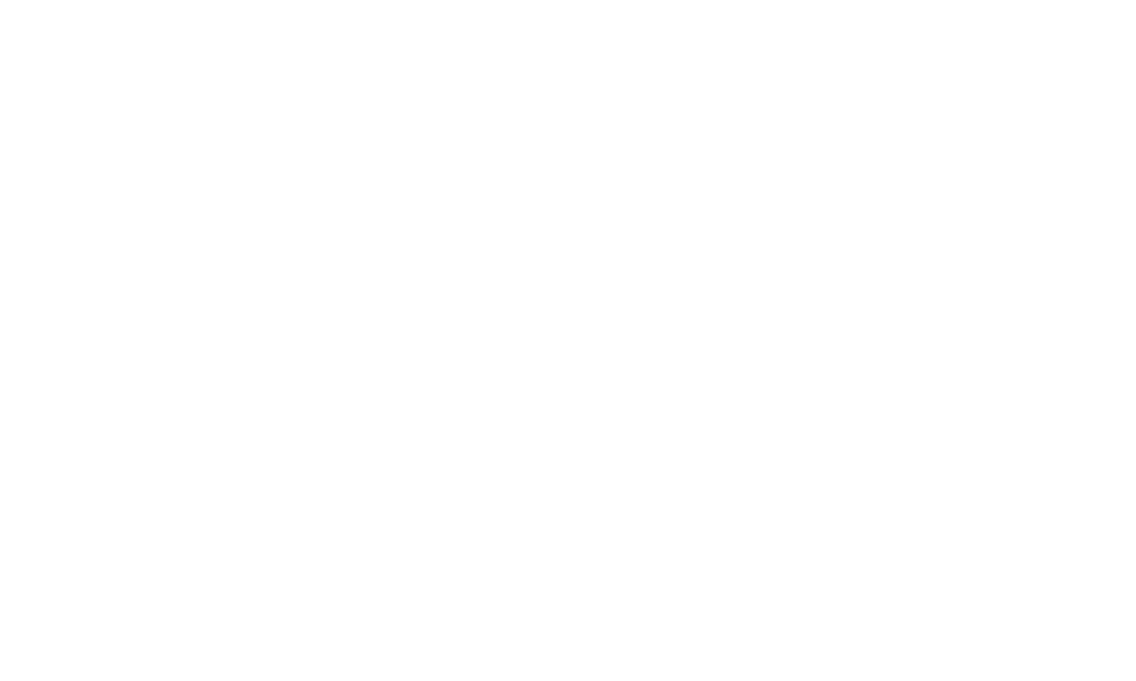 Guess Capital Partners